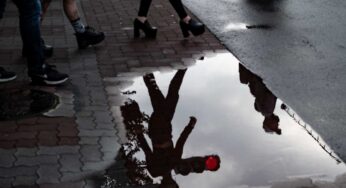 水溜りの中に広がる世界