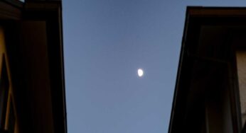 月が明るく照らす夜